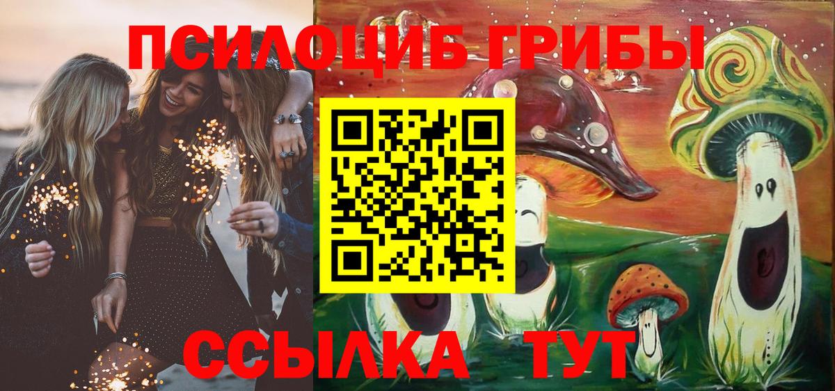 купить  сайты  Вход с VPN  Новотроицк  Псилоцибиновые грибы Cubensis 